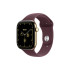 Apple Watch Series 12 GPS + Cellular Radiant Gold Titanium Case with Burgundy Sport Band