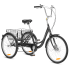 Progear RideFree 24" Tricycle Black