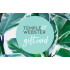 Temple & Webster eGift Card - $50